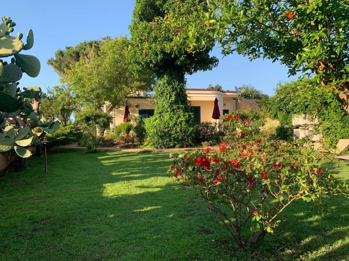 パルゲリーア Villino Eleonora Bed & Breakfast エクステリア 写真