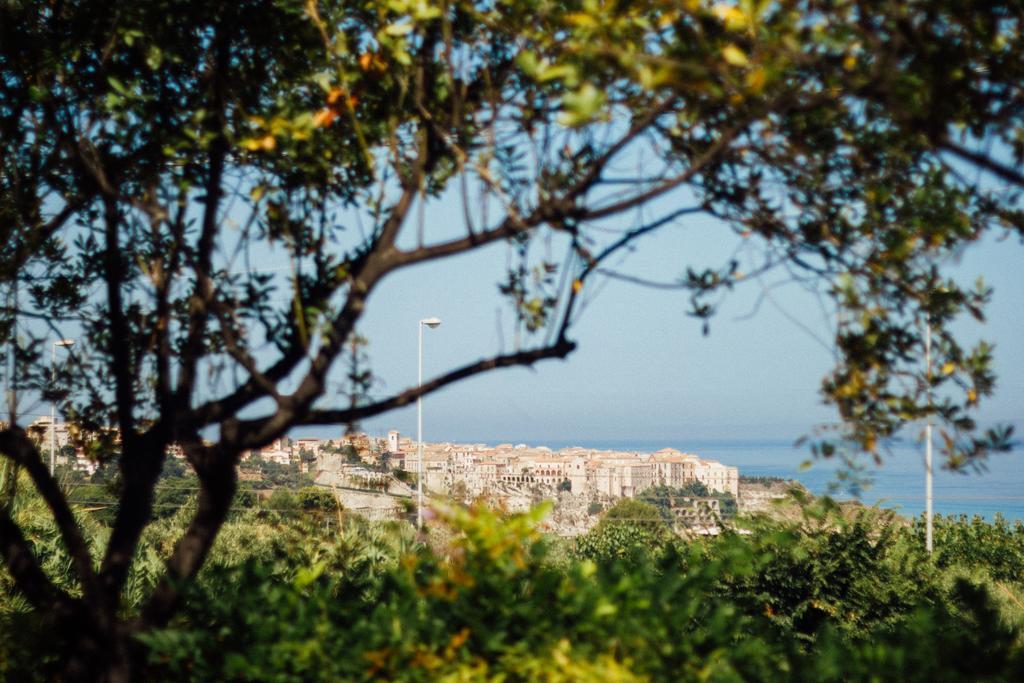 パルゲリーア Villino Eleonora Bed & Breakfast エクステリア 写真
