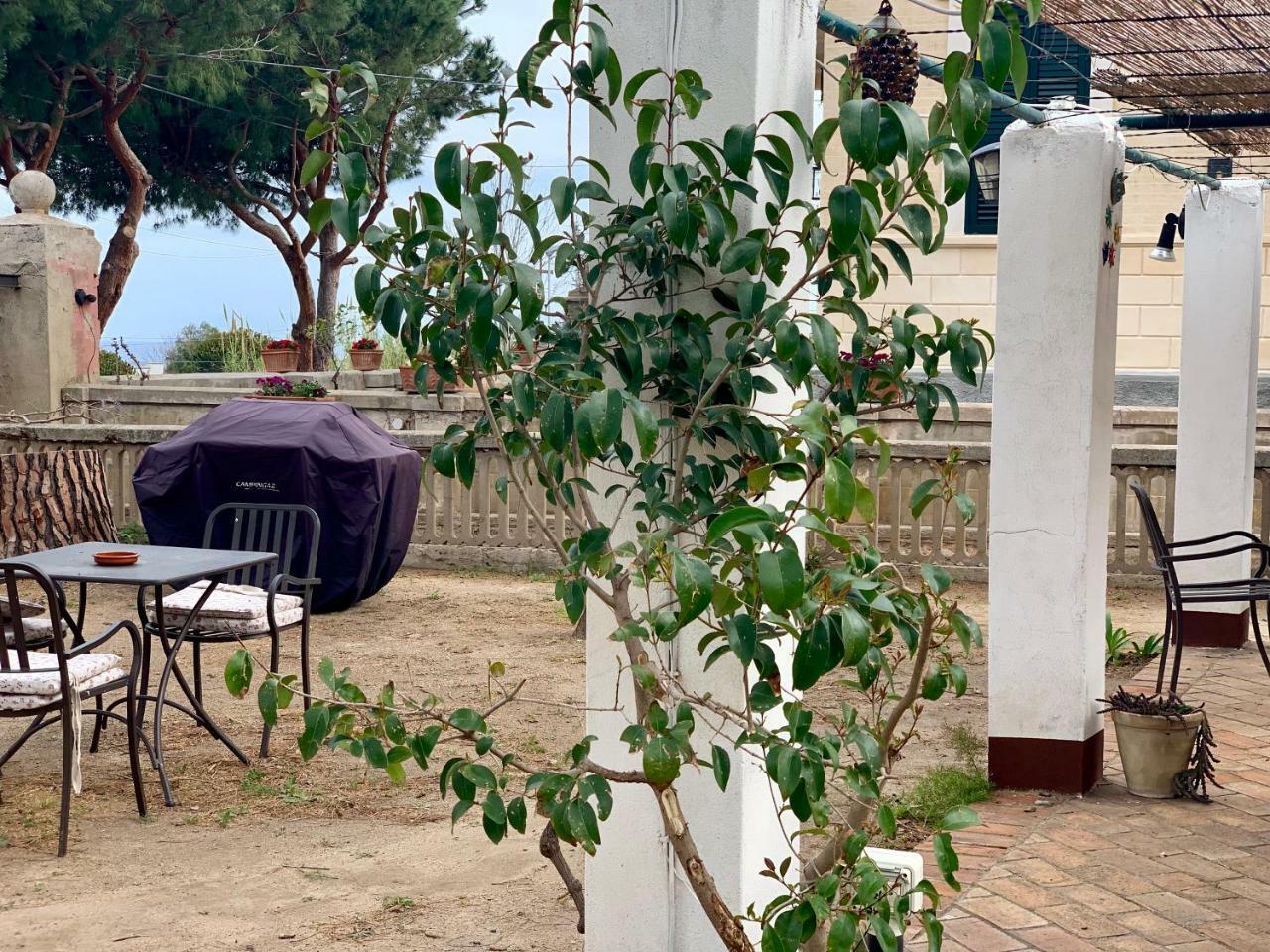 パルゲリーア Villino Eleonora Bed & Breakfast エクステリア 写真